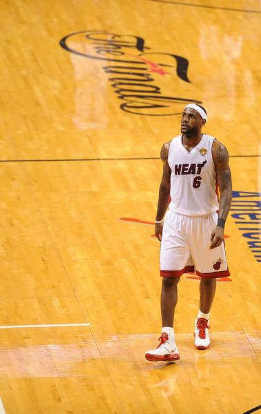 这一趋势类 这一趋势类