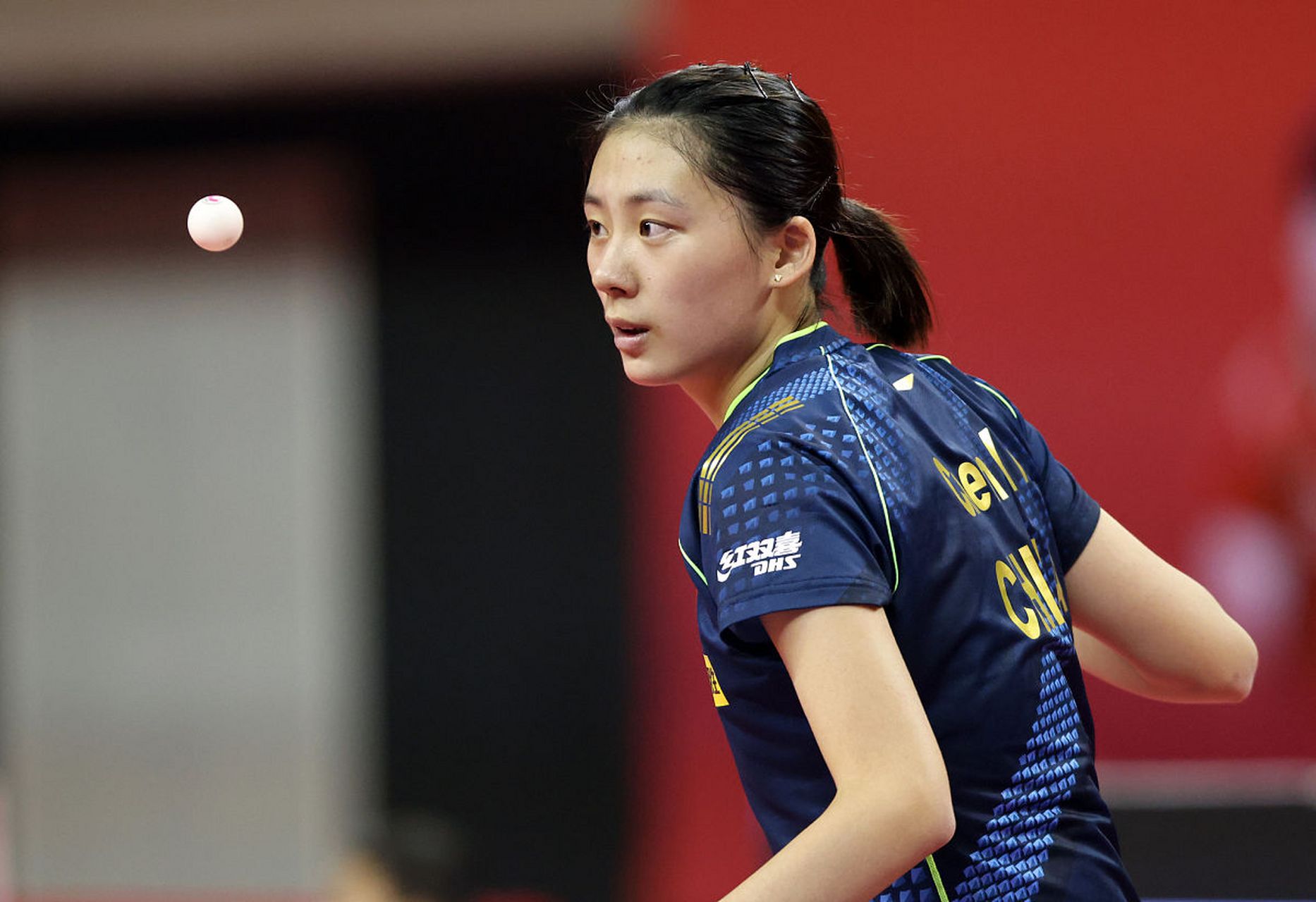 球迷的调侃 球迷的调侃