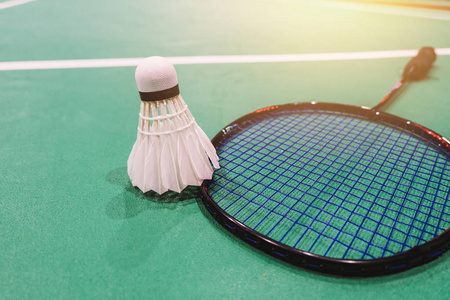 小猪与格雷 小猪与格雷